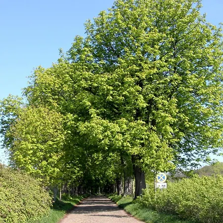 F-1112 03 Strandnah, Garten * Lobbe